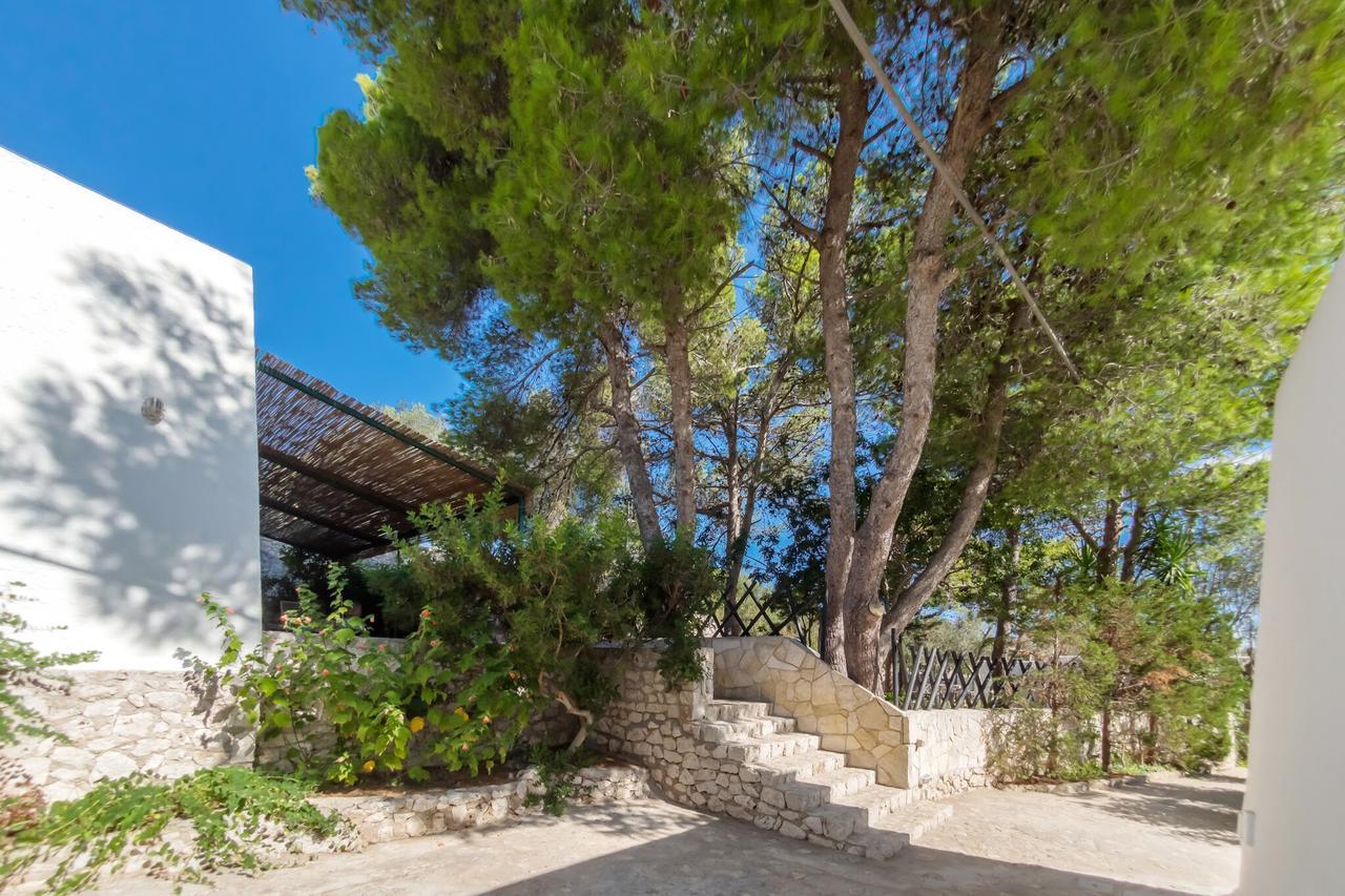 Residenza La Cicala Daire Castro  Oda fotoğraf
