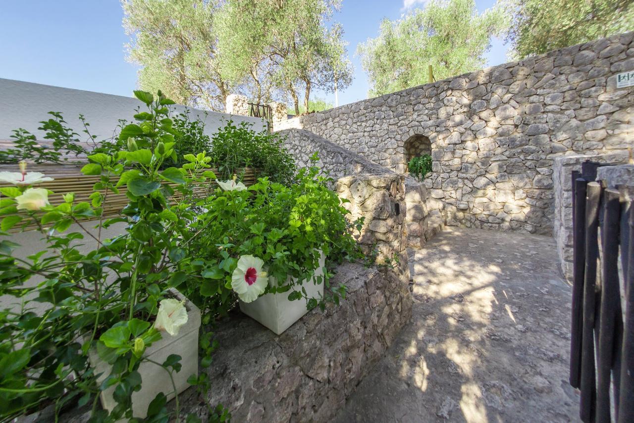 Residenza La Cicala Daire Castro  Oda fotoğraf